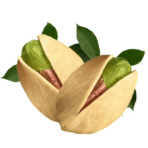Iranian long pistachio